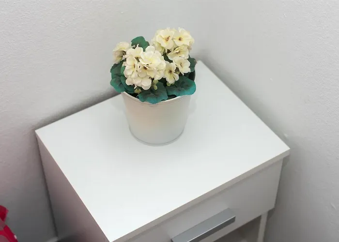 Lily Apartment