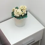 Lily 公寓
