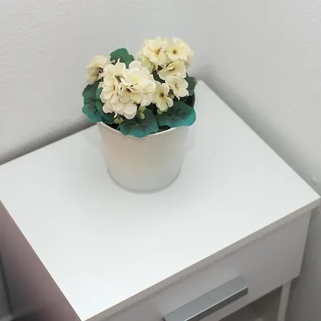 Lily Apartment